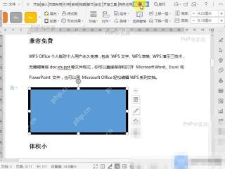 Word如何去除文档形状的轮廓?入口位置