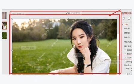 PowerPoint 放映前检查图片在页面中的清晰度
