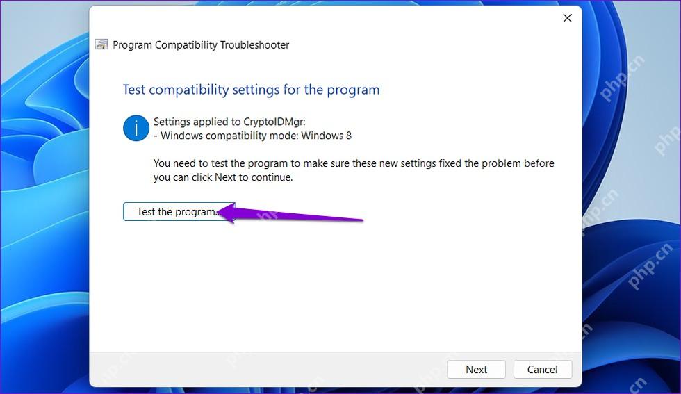Win11 程序兼容性疑难解答点击 Test the program 测试程序