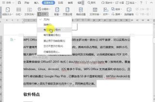 WPS如何给文档添加行号？设置效果