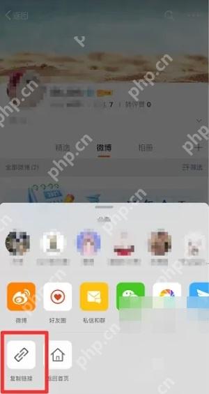 微博个人主页分享面板里的复制链接入口