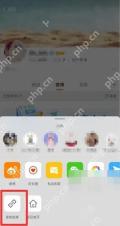 微博个人主页分享面板里的复制链接入口