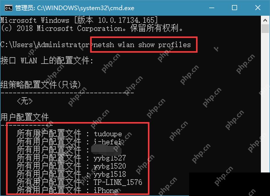 Windows 10 命令提示符 netsh wlan show profiles 列出已保存 WiFi 配置