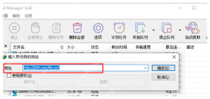 中文 IDM 新建下载任务地址窗口显示链接输入框。