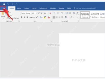 Word 文档左上角文件菜单入口用于开始加密设置