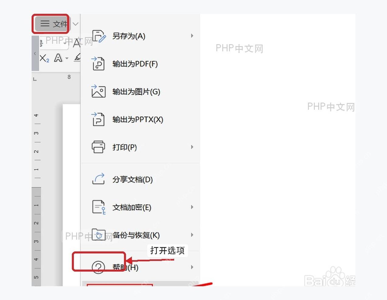 WPS 文字文件菜单中进入选项入口