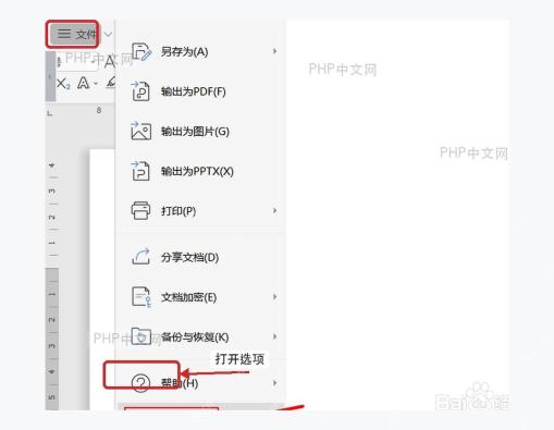 WPS 文字文件菜单中进入选项入口