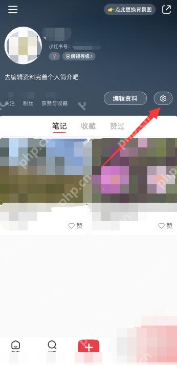 小红书个人主页我页入口,用于进入关闭点赞收藏通知的设置路径