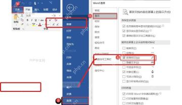 Word 选项显示页面取消勾选段落标记的设置位置