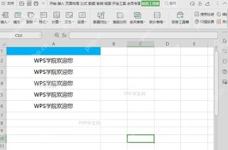 WPS如何删除表格末尾空格?结果检查