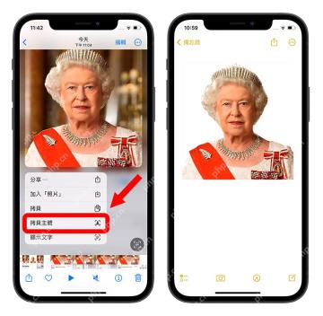 iPhone 照片菜单中选择拷贝主体并粘贴到备忘录