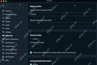 OBS Studio Advanced 设置页显示 Replay Buffer Stream Delay 和 Automatically Reconnect 区域