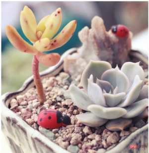 1631268272695056.png How to make the background image smaller in css