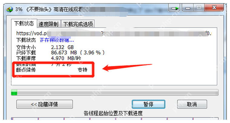 中文 IDM 进度窗口显示断点续传支持状态和下载进度。