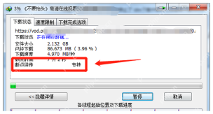 中文 IDM 进度窗口显示断点续传支持状态和下载进度。
