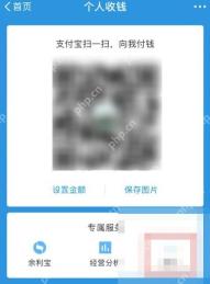 支付宝中文界面：个人收钱页，对应步骤：进入以后，先看到的是个人收钱页。想继续申请商家码物料，后面要从这里再往商家服务走。