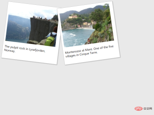 1619344292615152.png What does transform mean in html?