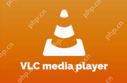 永久免费观看视频播放器软件前十名榜单汇总（欧美电影在线观看） - php中文网