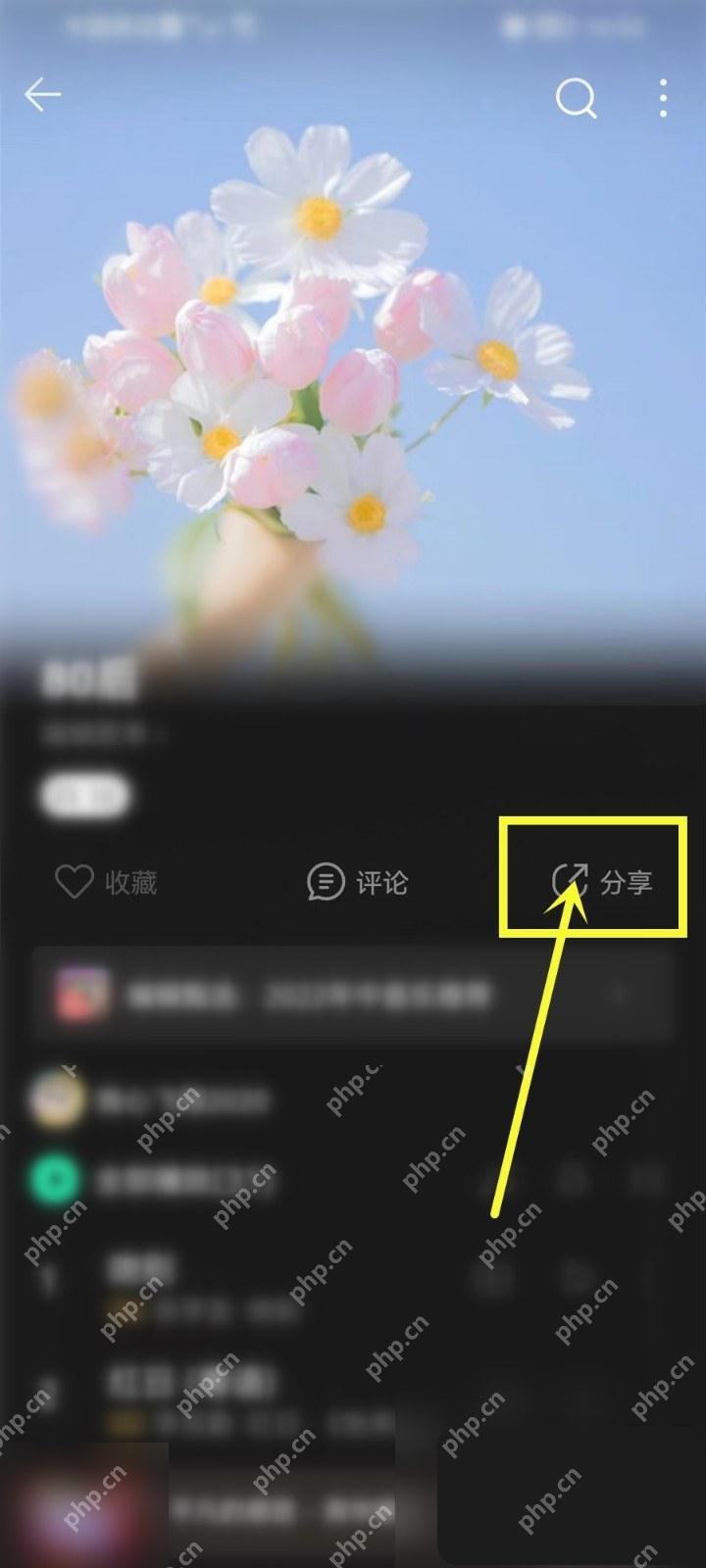 QQ音乐歌单分享按钮