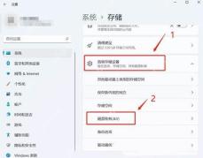 Win11 设置的高级存储设置中进入磁盘和卷