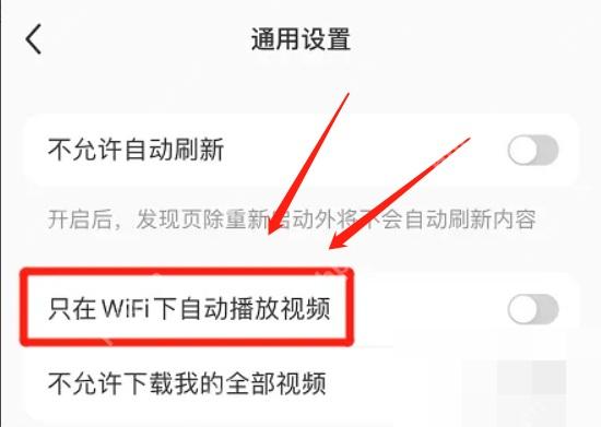 小红书通用设置只在 WiFi 下自动播放视频开关，用于控制视频自动播放条件