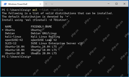 命令窗口显示 wsl --list --online 可安装发行版列表