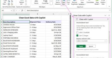 Clean Data with Copilot 面板识别 Item Description 列的大小写不一致,并提供 Apply 和 Ignore 按钮
