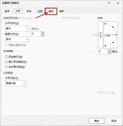 Excel设置单元格格式窗口中标出填充标签