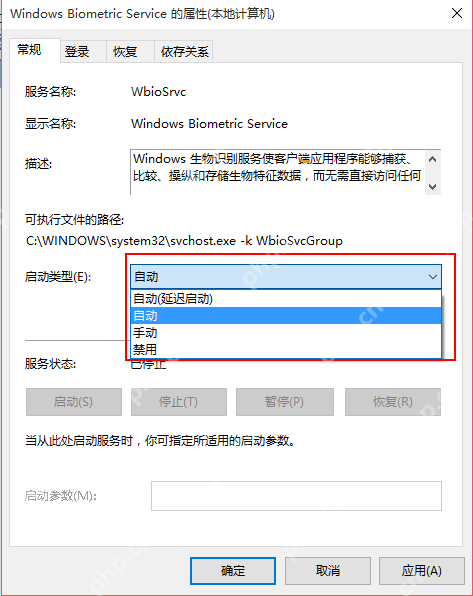 Win10 Windows Biometric Service 属性中的启动类型自动选项