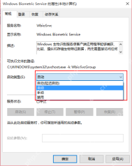 Win10 Windows Biometric Service 属性中的启动类型自动选项
