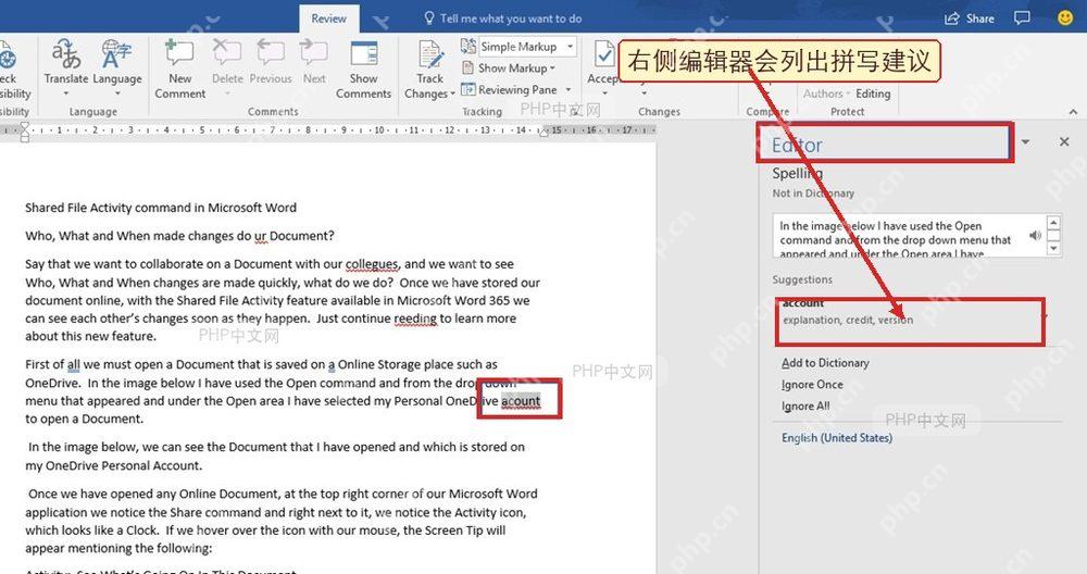 Word 编辑器窗格显示拼写建议