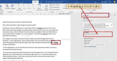 Word 编辑器窗格显示拼写建议