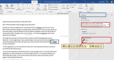 Word 拼写检查中的添加到词典和忽略选项