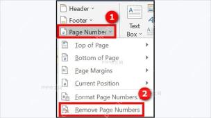 Word页码菜单中Remove Page Numbers删除页码入口