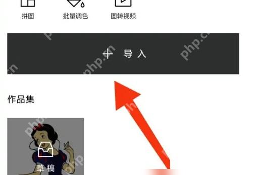 醒图导入图片制作黑白效果