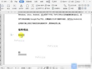 Word如何重置文档窗体域？设置效果