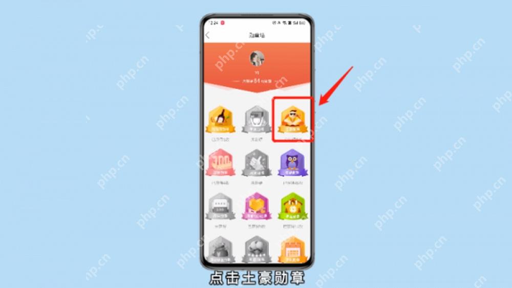 拼多多勋章列表界面,显示土豪勋章项目