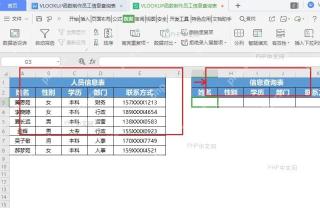 Excel制作员工档案查询系统怎么设置？快速处理技巧