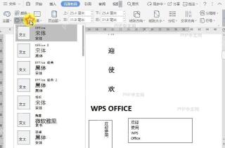 WPS如何设置页面布局的字体类型?设置效果