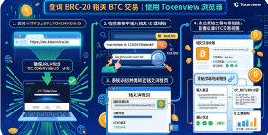 BTC链上交易记录查询教程2026最新图文版 - php中文网