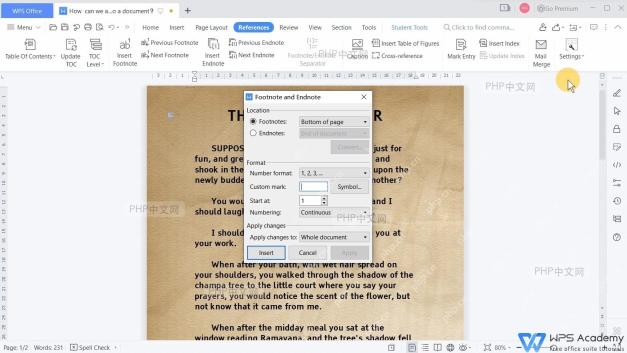 WPS Writer 引用选项卡、Insert Footnote 入口和 Footnote and Endnote 设置窗口