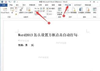 在开发工具中插入复选框内容控件