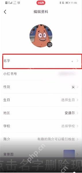 小红书编辑资料页面中的名字项目
