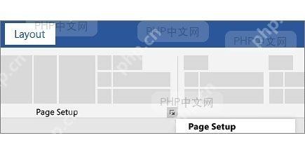 点击 Word 页面设置入口打开详细设置窗口
