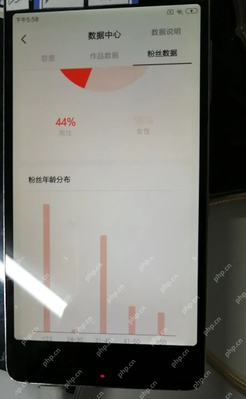 抖音粉丝怎么增加 - 抖音账号内容优化与粉丝增长建议步骤3