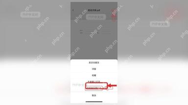 手机文件预览页底部菜单中的用其他应用打开选项,用于把导出的PDF或Word作为文件分享到微信或QQ