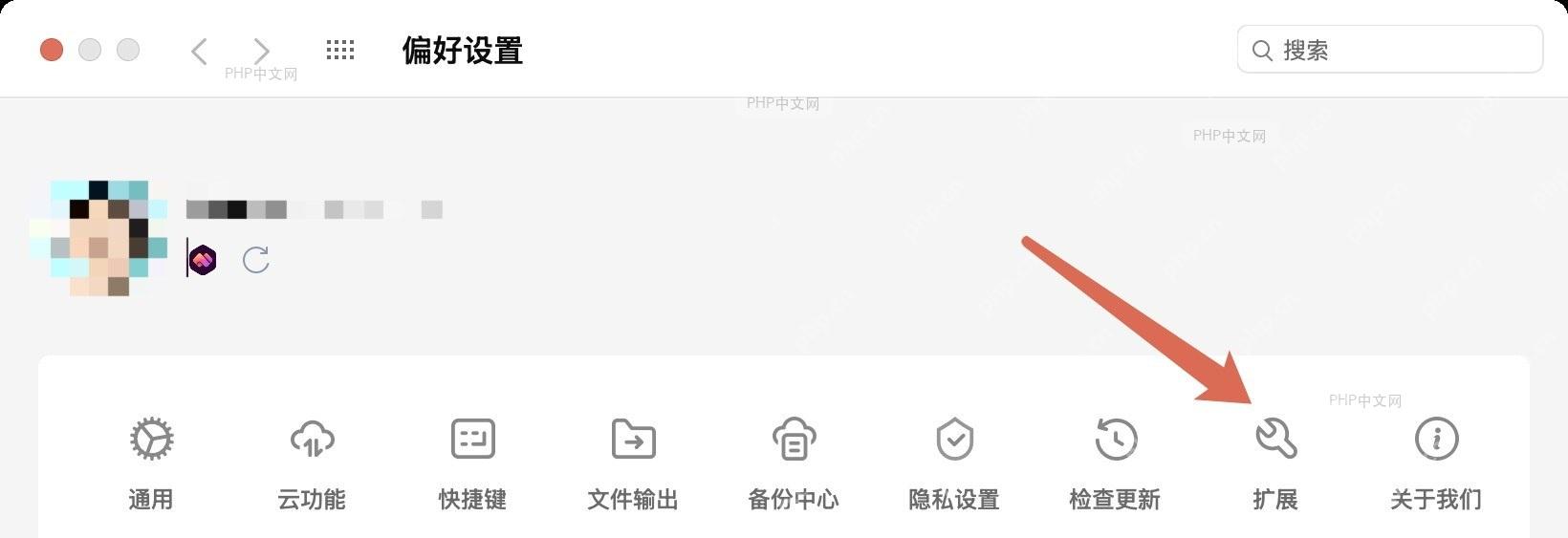 扩展列表中仅保留 WPS 相关扩展