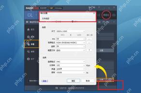 Bandicam Windows 录像页面高亮格式设置按钮和文件类型区域