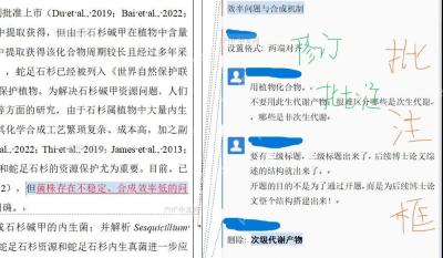 Word审阅选项卡中点击审阅窗格按钮