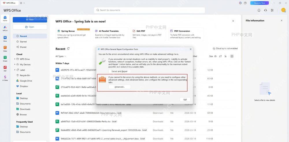 WPS Office 关于窗口中的版本号和 Check for Updates 按钮，用于手动检查更新